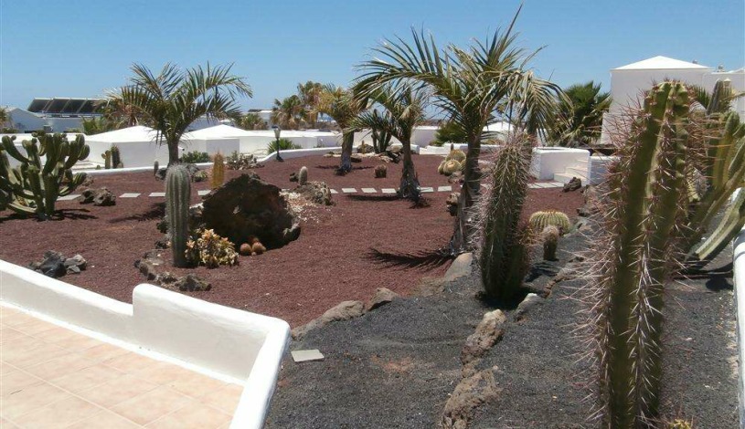 Apartment Calle Mato Canary Islands - Apt 25764